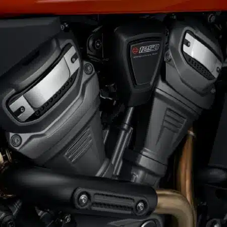 Stemmi Harley-Davidson® Wild One per gli ingranaggi della distribuzione