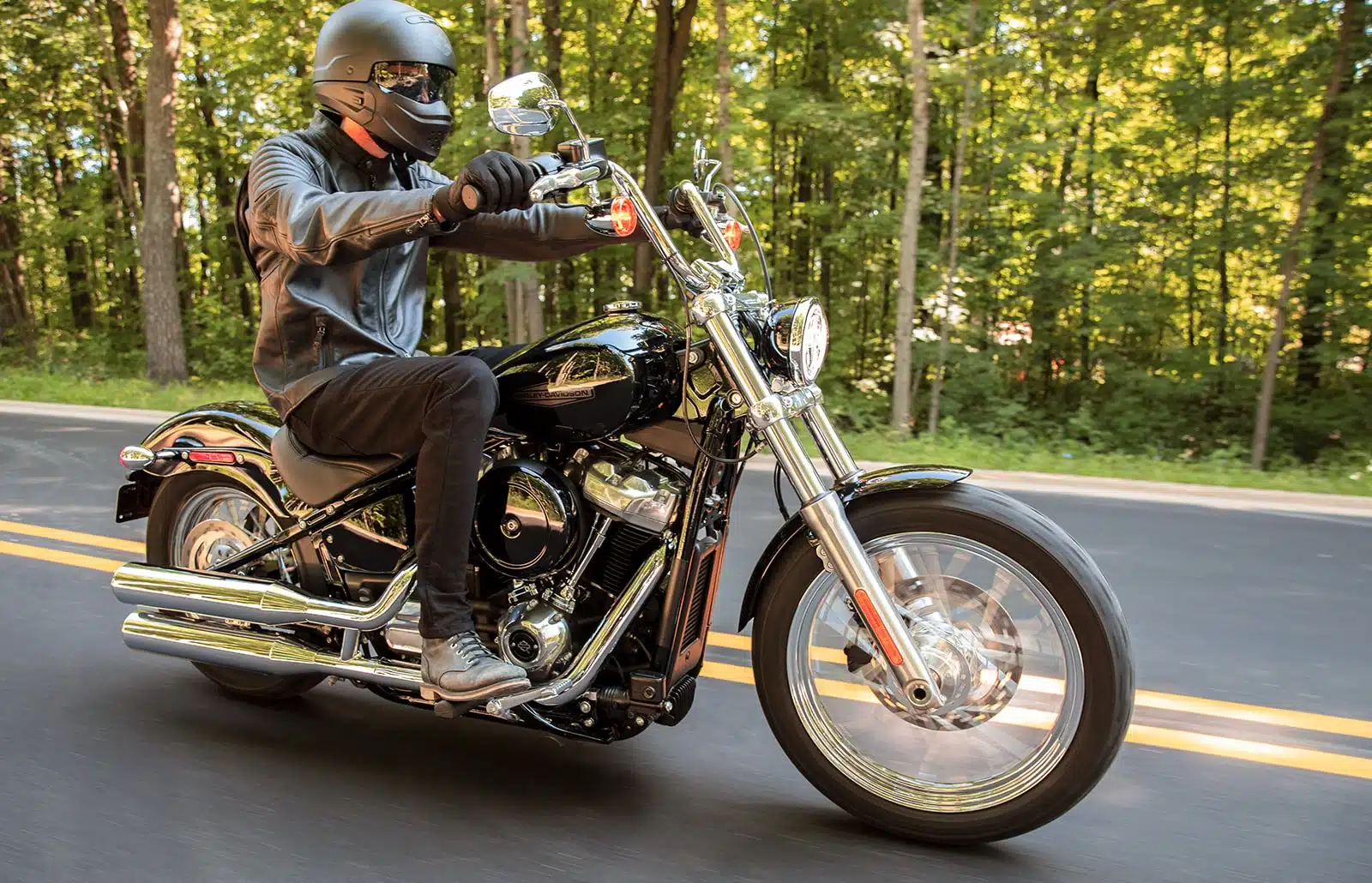 2022 SOFTAIL™ STANDARD - immagine 3