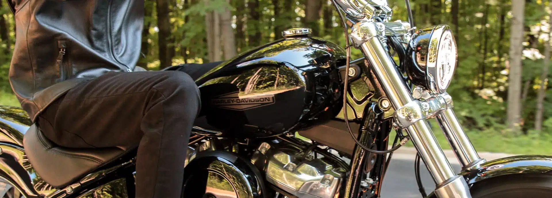 2022 SOFTAIL™ STANDARD - immagine 4