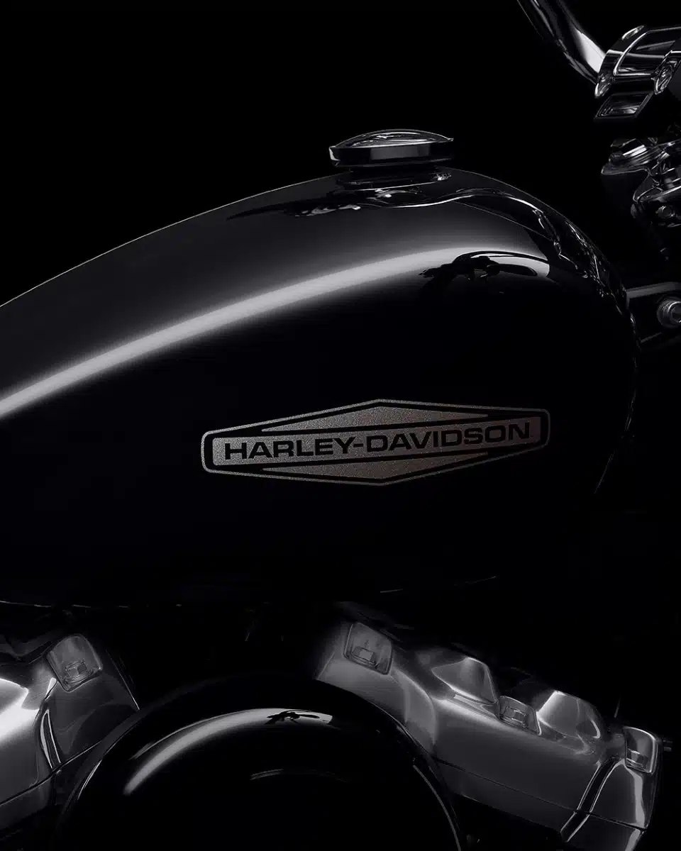 2022 SOFTAIL™ STANDARD - immagine 10