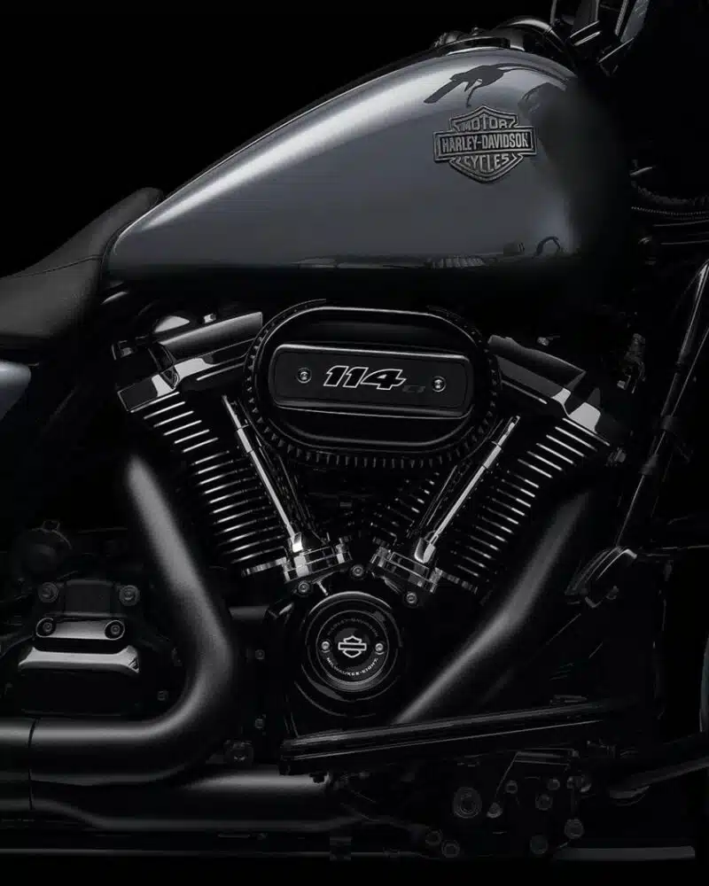 STREET GLIDE™ SPECIAL - immagine 6