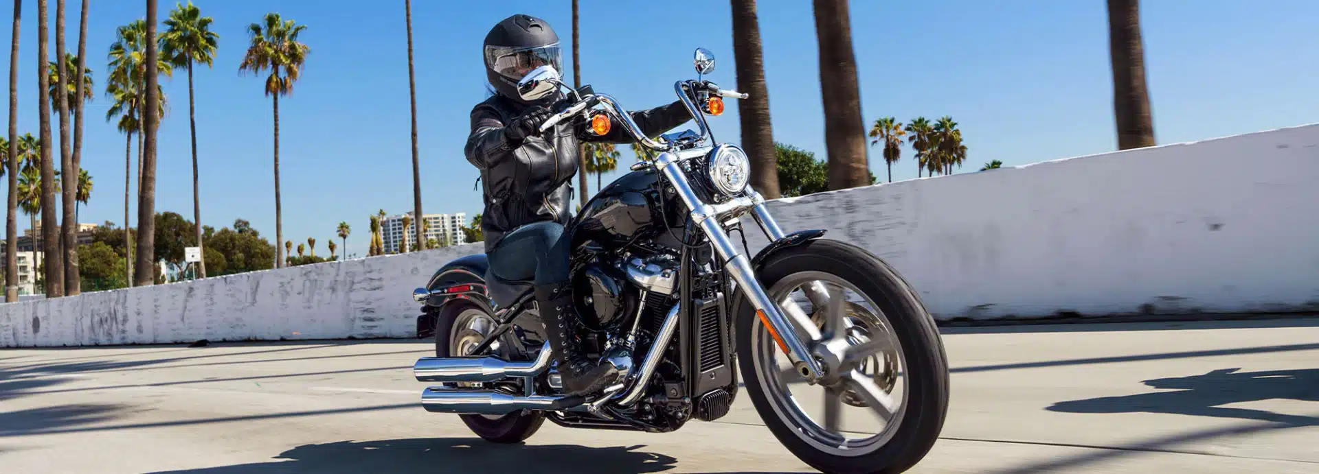 2022 SOFTAIL™ STANDARD - immagine 18
