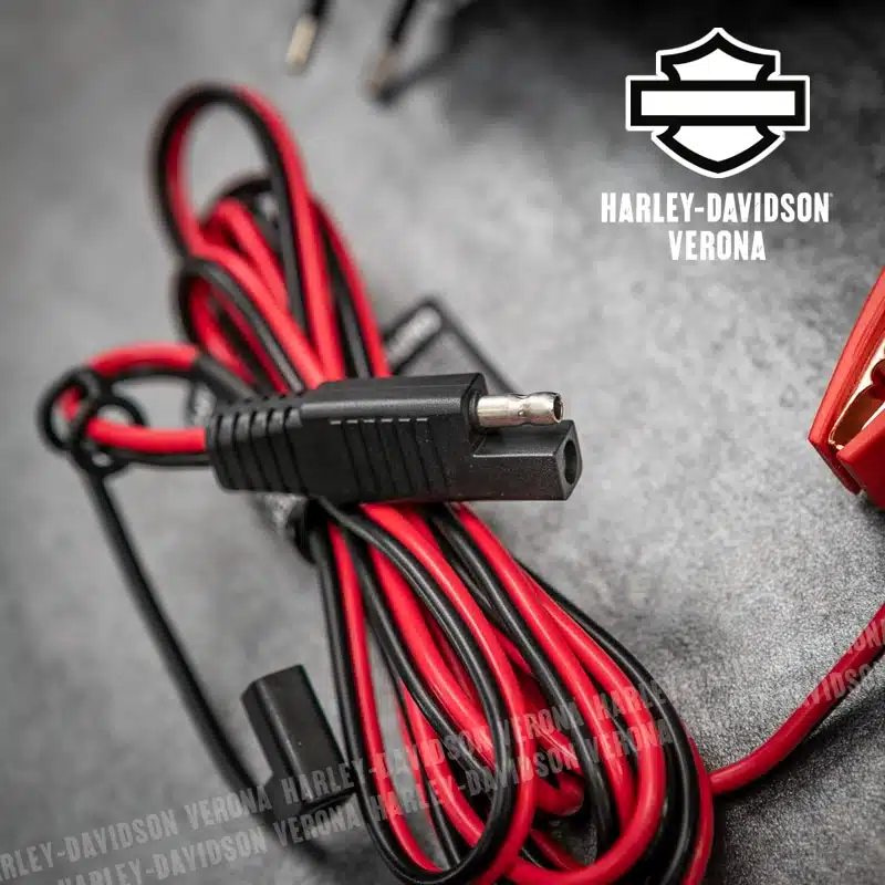 Caricabatterie Harley-Davidson® Dual Mode 1Ah - immagine 5