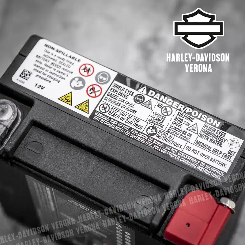 Batteria per Touring dal '97 e Trike dal '09 - immagine 4