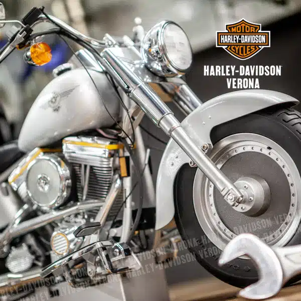 Amarcord: Harley-Davidson® Fat Boy Teste Gialle - immagine 5