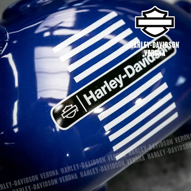 Salvadanaio Porcellino Harley-Davidson® 1973 Tank Graphic - immagine 6