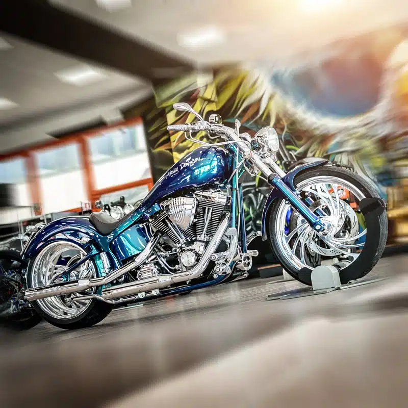 SPECIAL H-PARADISE SOFTAIL MY 2003