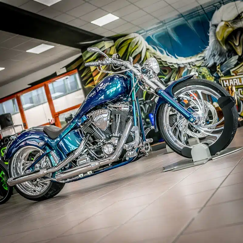 SPECIAL H-PARADISE SOFTAIL MY 2003 - immagine 2