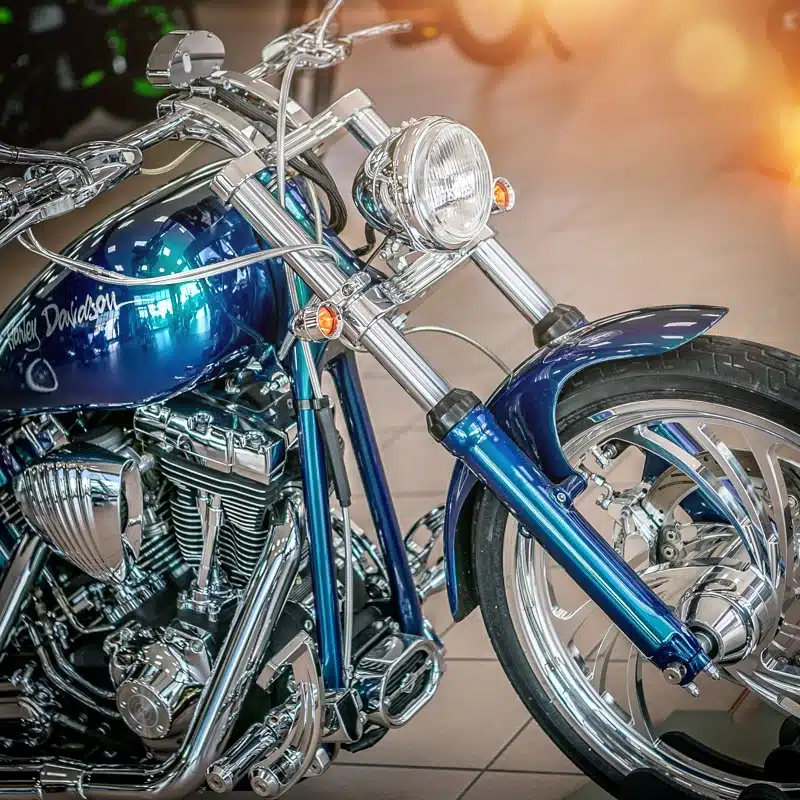 SPECIAL H-PARADISE SOFTAIL MY 2003 - immagine 5
