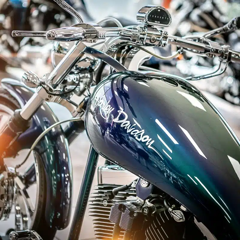SPECIAL H-PARADISE SOFTAIL MY 2003 - immagine 6