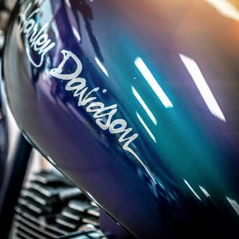 SPECIAL H-PARADISE SOFTAIL MY 2003 - immagine 8