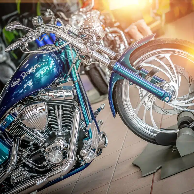 SPECIAL H-PARADISE SOFTAIL MY 2003 - immagine 4