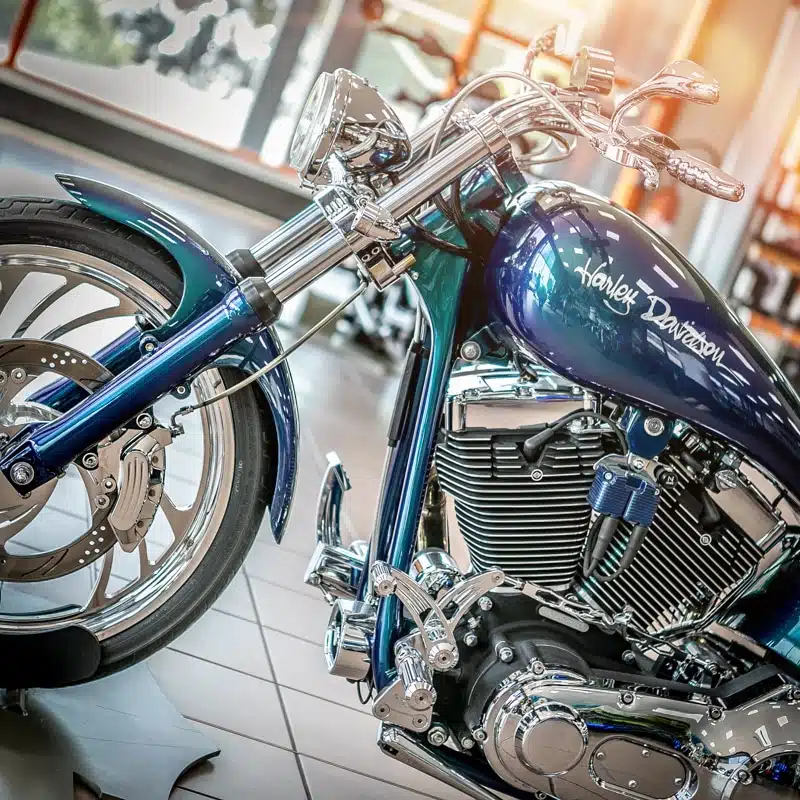 SPECIAL H-PARADISE SOFTAIL MY 2003 - immagine 7