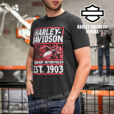 T-Shirt H-D® Verona Valid
