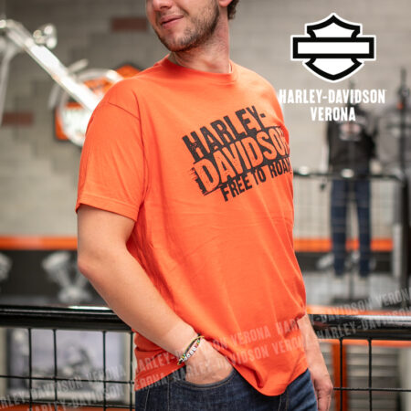 T-Shirt H-D® Verona Iron Free