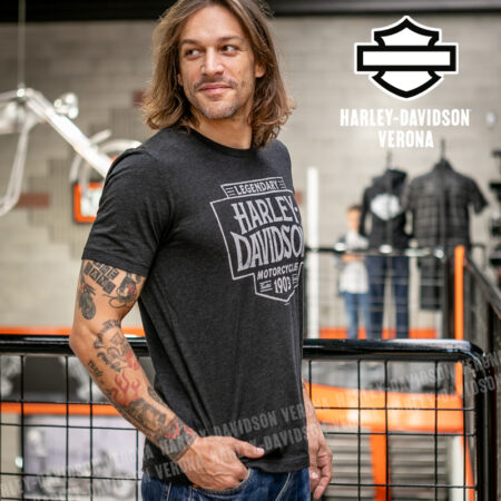T-Shirt H-D® Verona Defense