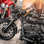 2024FLRT FREEWHEELER BLACK - immagine 16