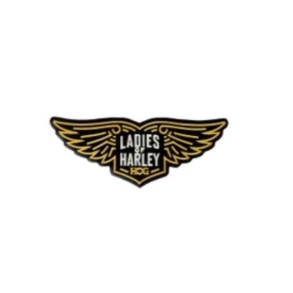 L.O.H Wings Patch Coloured - SMALL