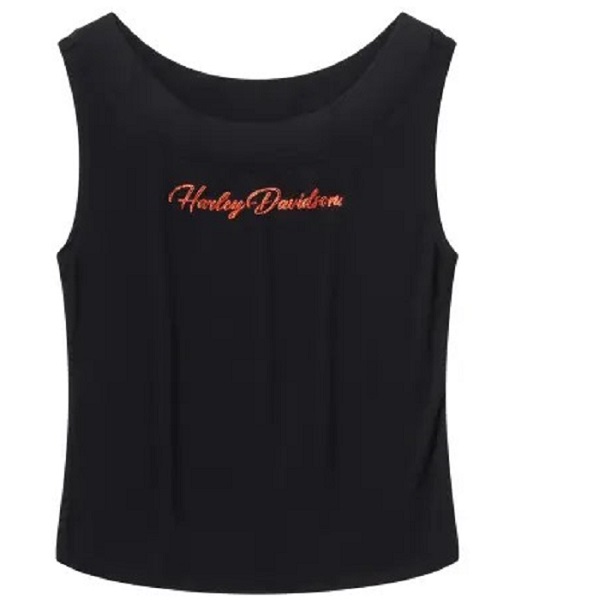Top Harley-Davidson® Essential Bling