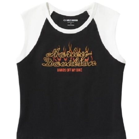 Top Harley-Davidson® Vintage Flames