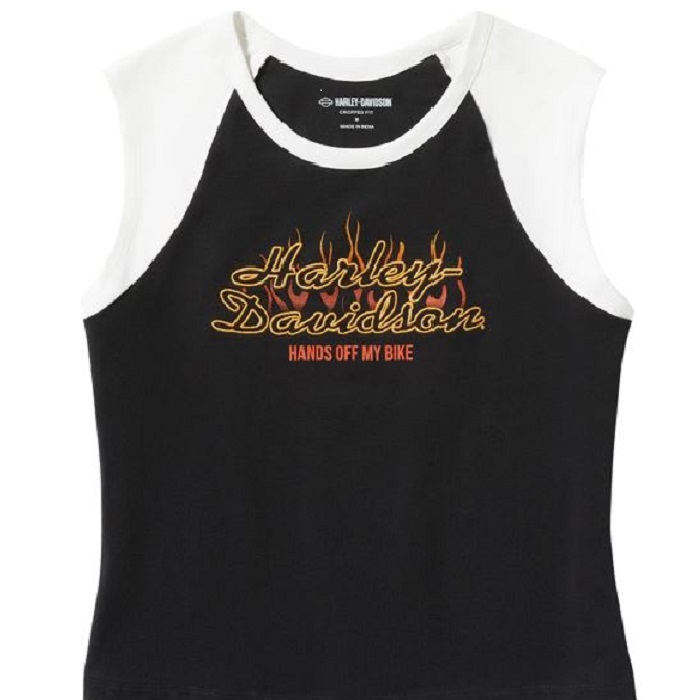 Top Harley-Davidson® Vintage Flames
