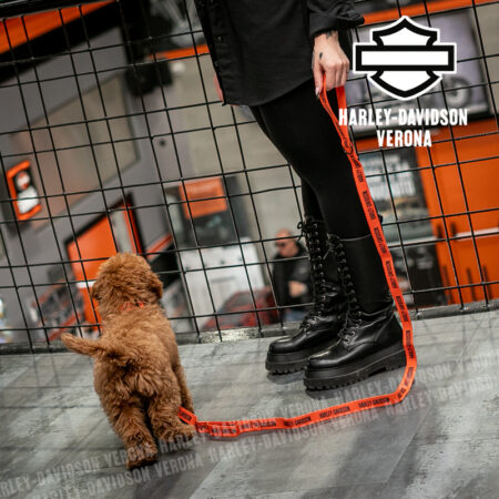 Guinzaglio per cani Harley-Davidson® Text Orange