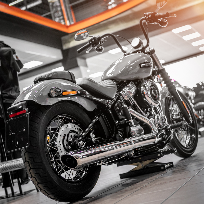 2025FXBB STREET BOB BILLIARD GRAY